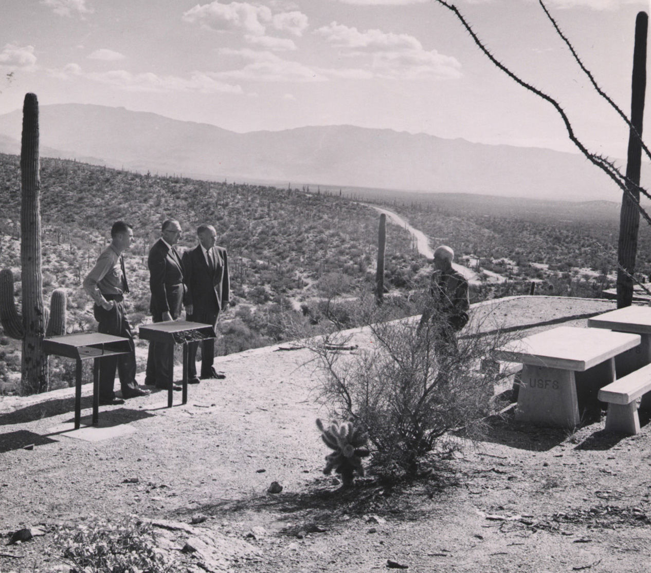 Sabino Canyon Recreation Area, Tucson